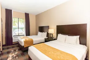 Comfort Suites Houston West at Clay Road - Room