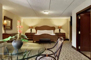 Hilton Garden Inn Rochester/Pittsford - Chambre