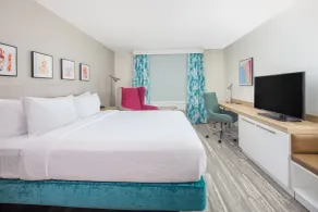 Hilton Garden Inn Houston Medical Center, TX - Chambre