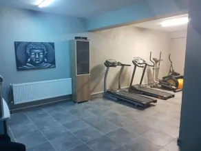 Sedapark Hotel - Fitnessbereich