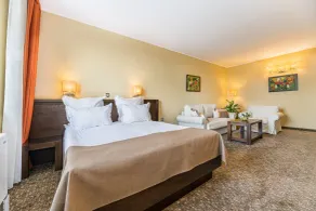 Vega Hotel - Room