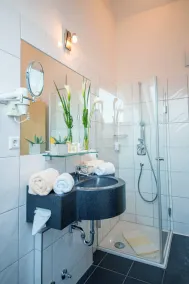Hotel & Restaurant Goldener Pflug - Salle de bain