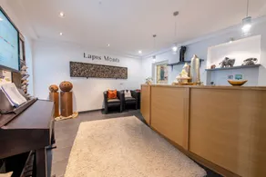 Lapis Monti Apartments & Suites - Reception