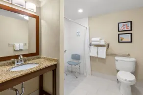 Comfort Suites Near Universal Orlando Resort - Bathroom