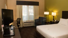Holiday Inn Express Hotel & Suites Saginaw by IHG - Chambre