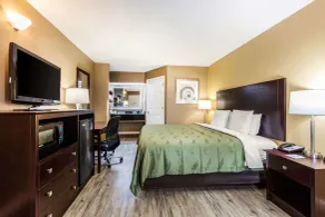 Quality Inn Bessemer I-20 exit 108 - Chambre