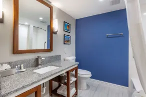 Comfort Suites St Louis - Sunset Hills - Salle de bain