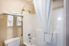 Quality Inn Cedar Rapids South - Salle de bain