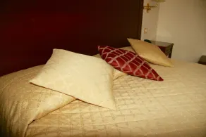 Hotel Alessandro Della Spina - Room