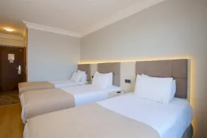 Grand Ant Hotel - Room