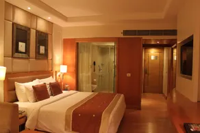 Park Plaza, Ludhiana - Room