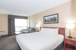 Sandman Hotel Lethbridge - Chambre