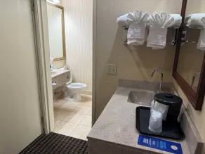 Wingate by Wyndham Livonia - Salle de bain