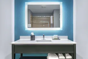 La Quinta by Wyndham Decatur - Salle de bain