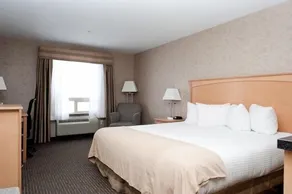 Paradise Inn and Suites - Room