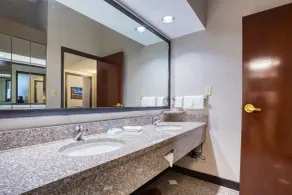 Drury Inn & Suites St. Louis - Fairview Heights - Salle de bain