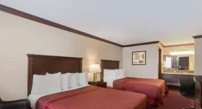 Days Inn by Wyndham Auburn - Room