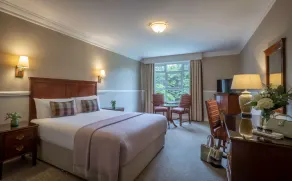 Court Yard Hotel - Room