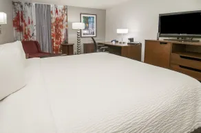 Fairfield Inn & Suites by Marriott Dallas DFW Airport South/Irving - Chambre