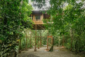 Tree Houses Hotel Costa Rica - Værelse