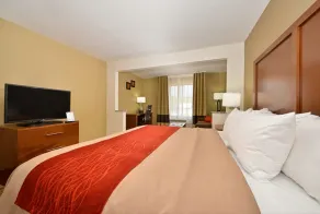 Comfort Inn & Suites Cedar Rapids North - Collins Road - Chambre