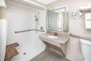 Ramada by Wyndham Alpharetta Atlanta North - Bathroom