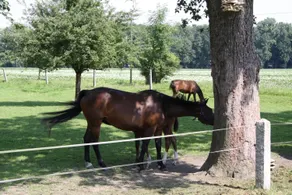 Ferienhof Fenzl - Fitnessbereich