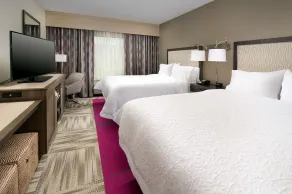 Hampton Inn by Hilton Hattiesburg - Chambre