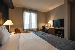 Monte Carlo Inn Toronto West Suites - Room