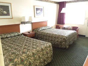 Economy Inn Dillon - Vue de la chambre