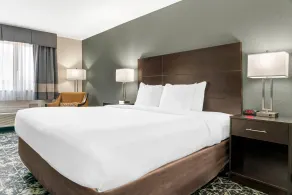 Quality Inn Grand Rapids South-Byron Center - Room