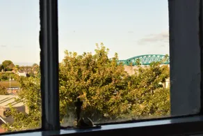 Spoon and the Stars Hostel - View from room