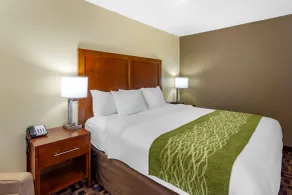 Comfort Inn & Suites North Aurora - Naperville - Chambre