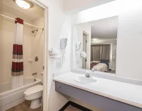 Red Roof Inn Atlanta-Norcross - Bathroom