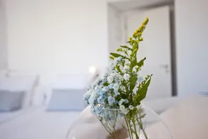 Galaxia Boutique Hotel - Chambre