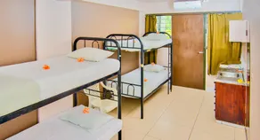 Bamboo Backpackers - Chambre