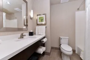 Holiday Inn Express Tomball by IHG - Salle de bain