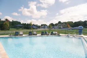 The Horse Shoe Farm - Piscine