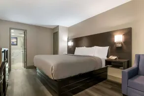Quality Inn & Suites Altamonte Springs Orlando-North - Room