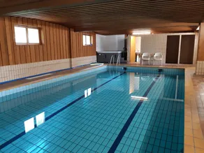Hotel-Spa & Restaurant Logis Domaine Langmatt - Pool