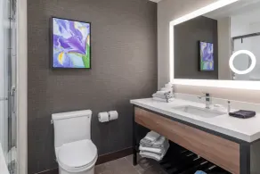 Cambria Hotel Pigeon Forge - Salle de bain