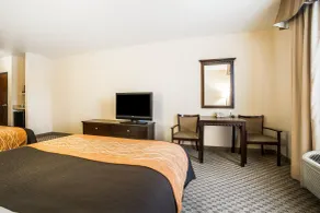Comfort Inn & Suites Henderson - Las Vegas - Chambre