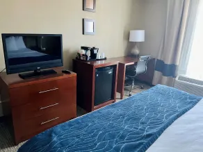 Comfort Inn Randolph-Boston - Chambre