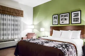 Sleep Inn & Suites Marion - Military Institute - Chambre