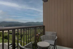 Embassy Suites By Hilton Pigeon Forge Resort - Utsikt från rummet