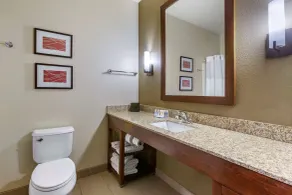 Comfort Inn & Suites Near Mt Rushmore - Salle de bain