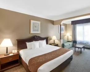 Comfort Suites Plainview - Chambre