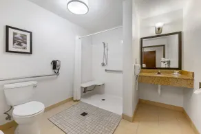 Comfort Suites Conference Center Rapid City - Salle de bain