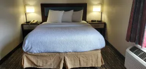 Wingate by Wyndham Canton/Hall of Fame - Chambre