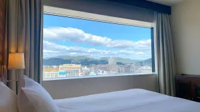 ANA Crowne Plaza Okayama by IHG - Vista dalla camera